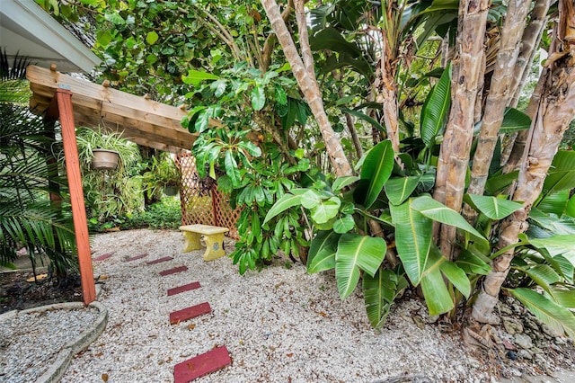 1151 Lancer Ln, Tarpon Springs, FL 34689 - view of yard