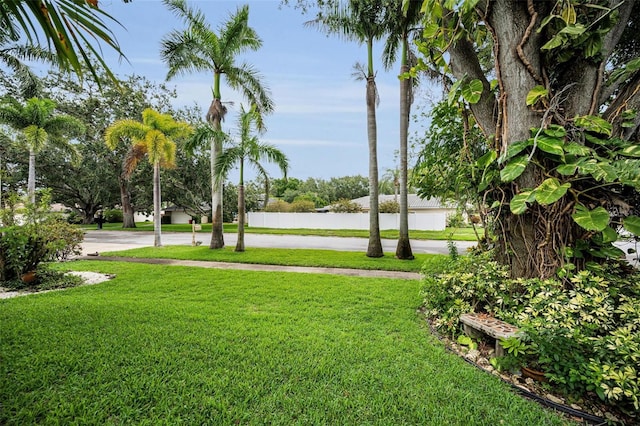 1151 Lancer Ln, Tarpon Springs, FL 34689 - view of grassy yard