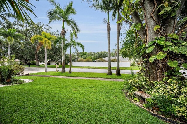 1151 Lancer Ln, Tarpon Springs, FL 34689 - photo 39