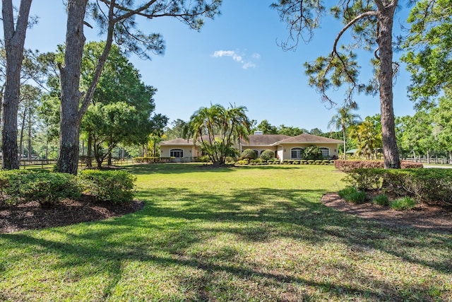 3452 Forelock Rd, Tarpon Springs, FL 34688 - view of yard