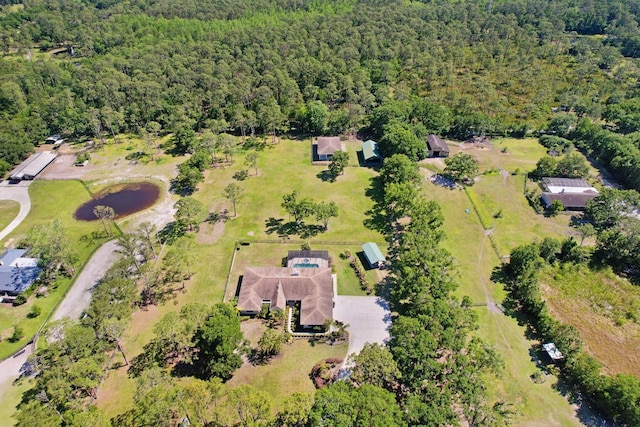 3452 Forelock Rd, Tarpon Springs, FL 34688 - view of property location featuring a heavily wooded area