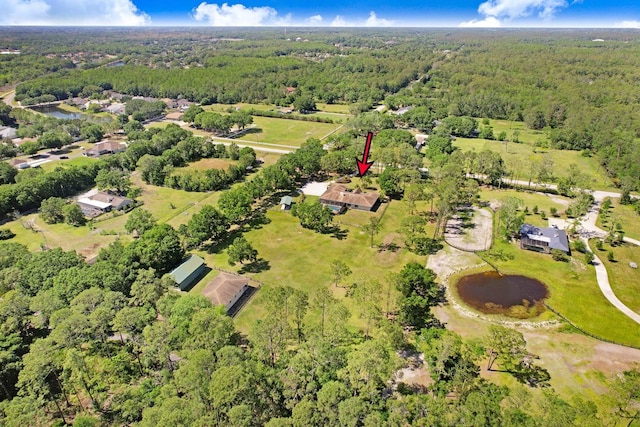 3452 Forelock Rd, Tarpon Springs, FL 34688 - aerial overview of property's location with a forest