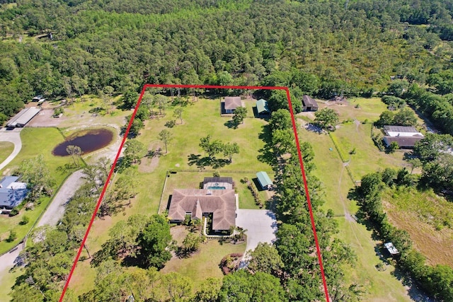 3452 Forelock Rd, Tarpon Springs, FL 34688 - aerial view of property and surrounding area with a forest and property boundaries highlighted