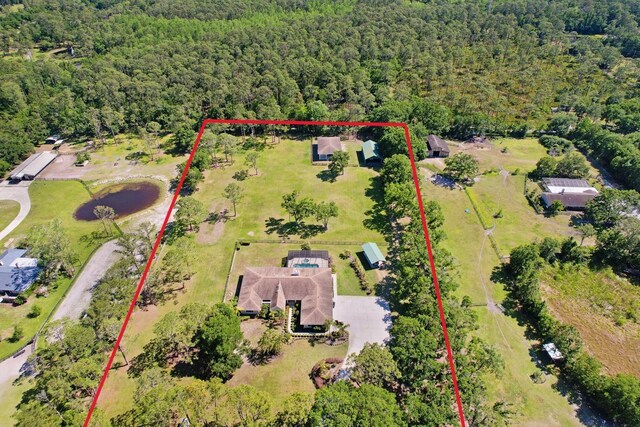 3452 Forelock Rd, Tarpon Springs, FL 34688 - photo 3