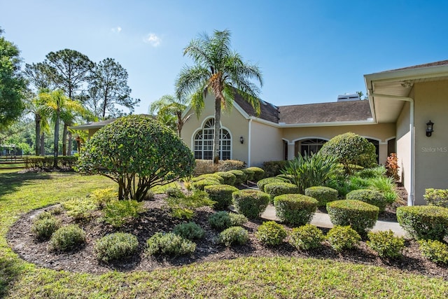 3452 Forelock Rd, Tarpon Springs, FL 34688 - view of side of home featuring stucco siding and a yard