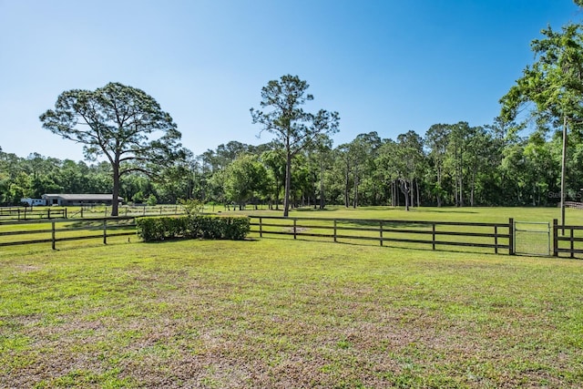 3452 Forelock Rd, Tarpon Springs, FL 34688 - view of yard featuring a view of rural / pastoral area
