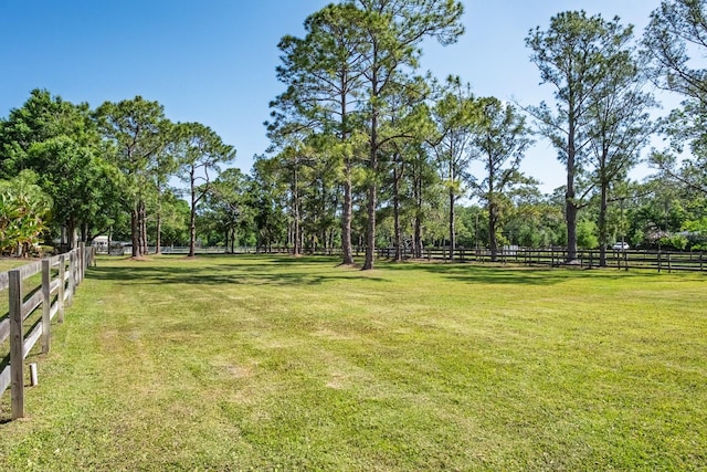 3452 Forelock Rd, Tarpon Springs, FL 34688 - view of yard