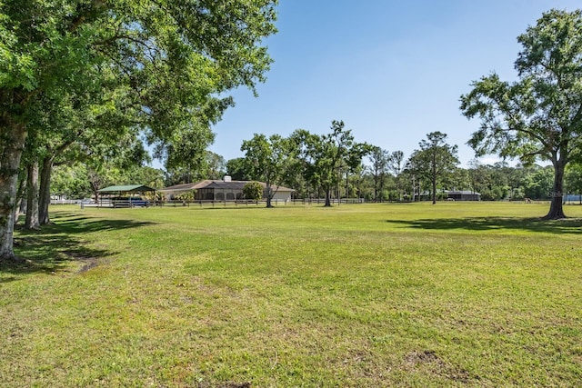 3452 Forelock Rd, Tarpon Springs, FL 34688 - view of yard