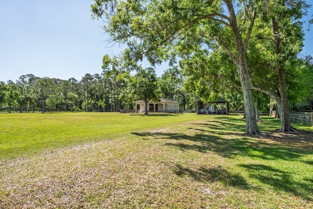3452 Forelock Rd, Tarpon Springs, FL 34688 - view of green lawn featuring a gazebo