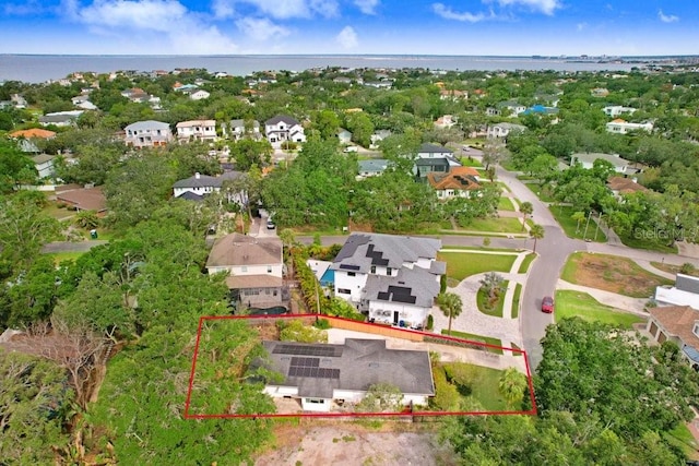 4640 W Lamb Ave, Tampa, FL 33629 - photo 4