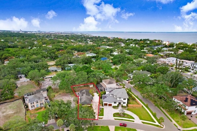 4640 W Lamb Ave, Tampa, FL 33629 - photo 6