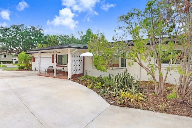 4640 W Lamb Ave, Tampa, FL 33629 - photo 18