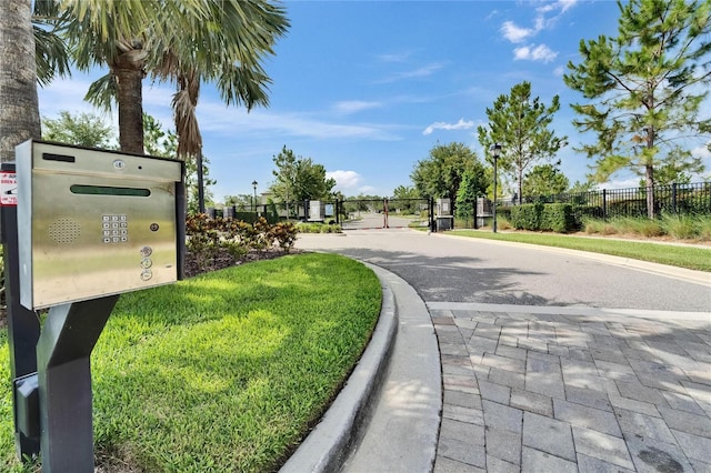 6658 Devlin Ln, Wesley Chapel, FL 33545 - view of asphalt road with a gate, street lights, curbs, and a gated entry