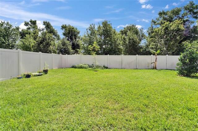 6658 Devlin Ln, Wesley Chapel, FL 33545 - view of yard