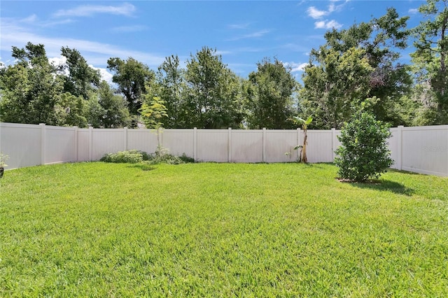 6658 Devlin Ln, Wesley Chapel, FL 33545 - view of yard