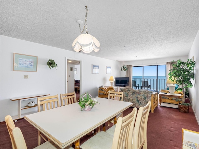 13500 Gulf Blvd Unit 507, Madeira Beach, FL 33708 - photo 31