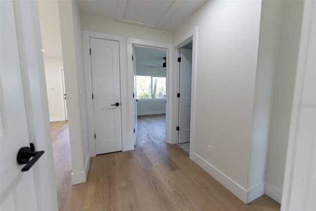 8444 15th Way N, Saint Petersburg, FL 33702 - photo 45