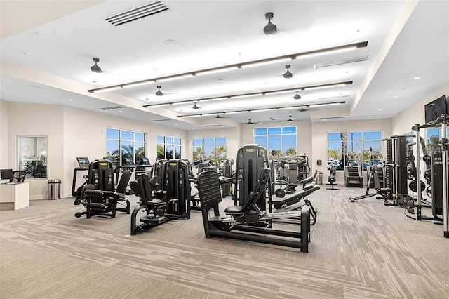 16126 San Donato Pl, Bradenton, FL 34211 - exercise room with light carpet