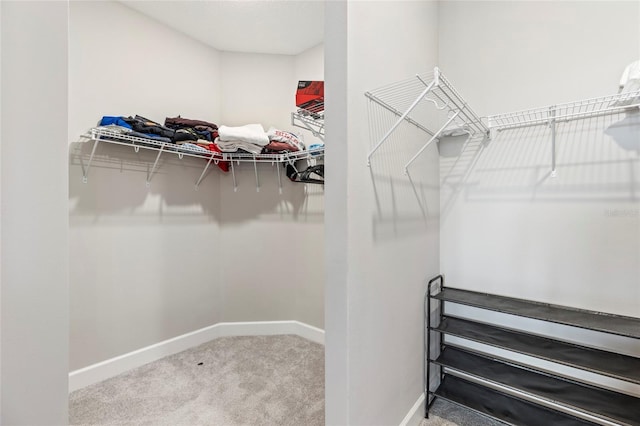 16126 San Donato Pl, Bradenton, FL 34211 - spacious closet with carpet flooring
