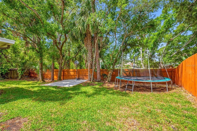 8514 Manassas Rd, Tampa, FL 33635 - photo 44