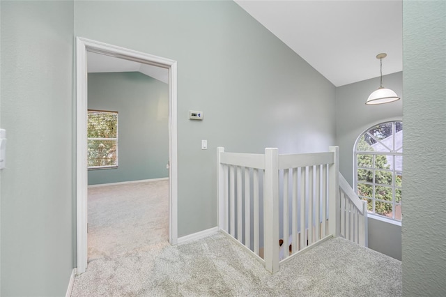 8514 Manassas Rd, Tampa, FL 33635 - photo 24