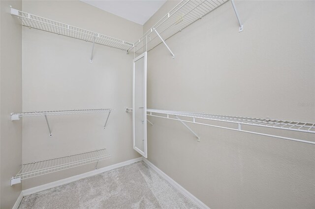 8514 Manassas Rd, Tampa, FL 33635 - photo 31