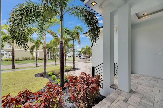6528 Simone Shores Cir, Apollo Beach, FL 33572 - view of green lawn