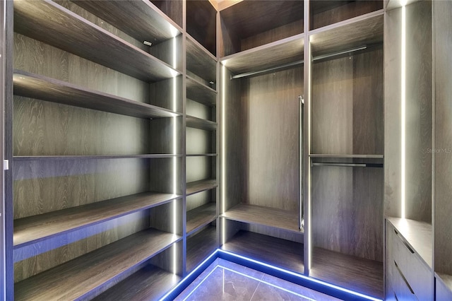 6528 Simone Shores Cir, Apollo Beach, FL 33572 - view of spacious closet