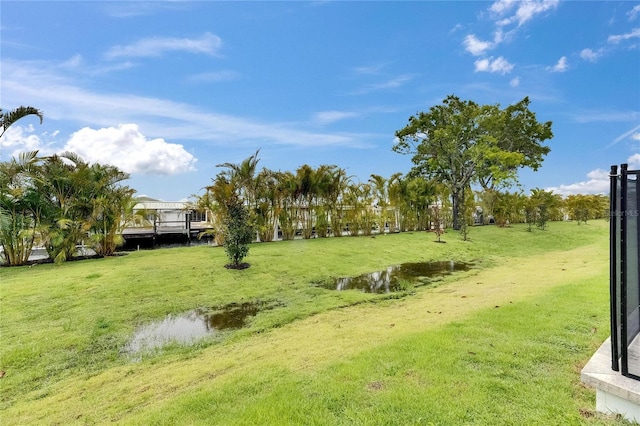 6528 Simone Shores Cir, Apollo Beach, FL 33572 - view of green lawn featuring a water view