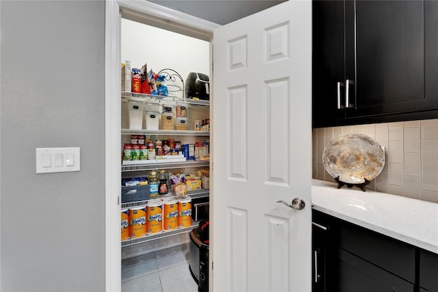 6127 Colmar Pl, Apollo Beach, FL 33572 - view of storage area