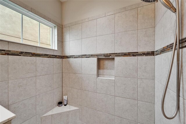 6127 Colmar Pl, Apollo Beach, FL 33572 - bathroom featuring tiled shower