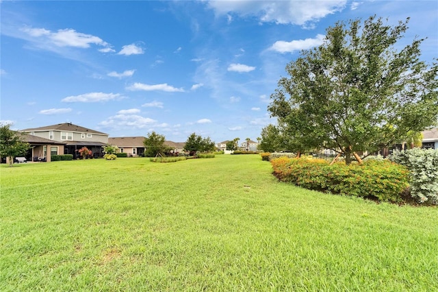 6127 Colmar Pl, Apollo Beach, FL 33572 - view of green lawn