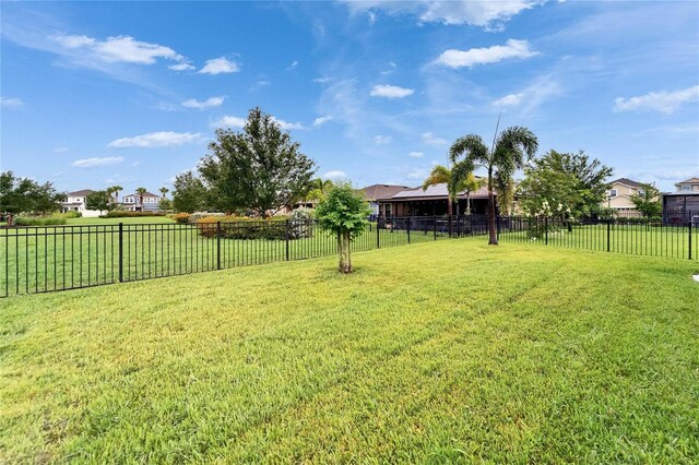 6127 Colmar Pl, Apollo Beach, FL 33572 - view of yard