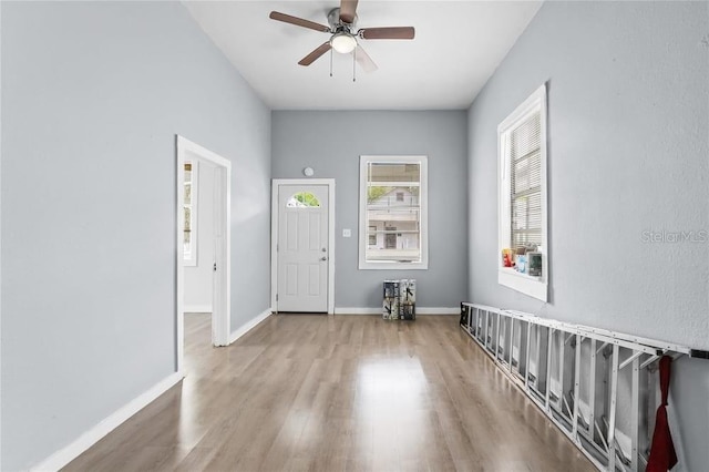 2320 W Walnut St, Tampa, FL 33607 - photo 4