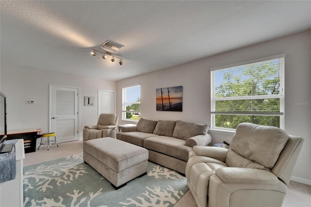 449 Bahama Grande Blvd, Apollo Beach, FL 33572 - living room featuring carpet floors and rail lighting