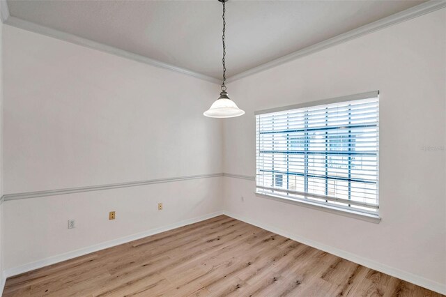 113 S Sherrill St Unit 113, Tampa, FL 33609 - spare room with light wood finished floors, baseboards, and ornamental molding