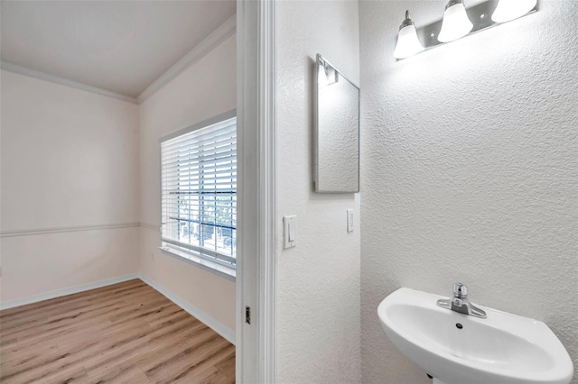 113 S Sherrill St Unit 113, Tampa, FL 33609 - bathroom featuring a sink, wood finished floors, baseboards, and ornamental molding