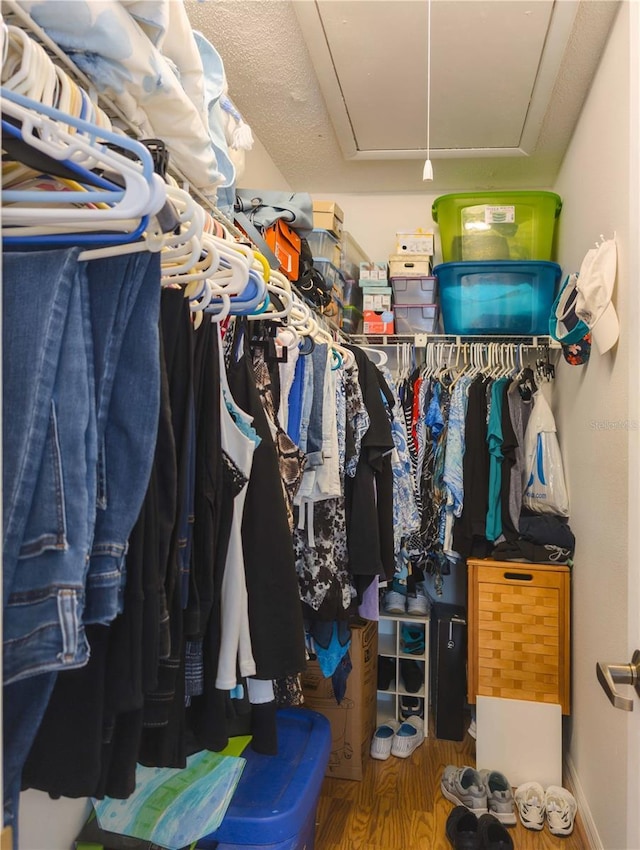 39650 US Highway 19 N, Tarpon Springs, FL 34689 - spacious closet featuring attic access and wood finished floors
