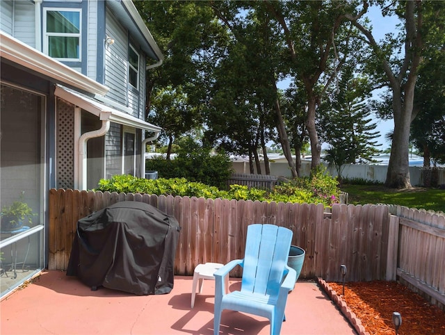 39650 US Highway 19 N, Tarpon Springs, FL 34689 - fenced backyard with a grill and a patio area