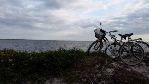 39650 US Highway 19 N, Tarpon Springs, FL 34689 - water view