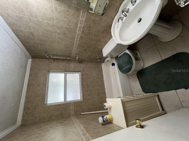 2524 Novus St, Sarasota, FL 34237 - view of bathroom