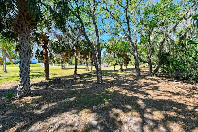 4868 Troydale Rd, Tampa, FL 33615
