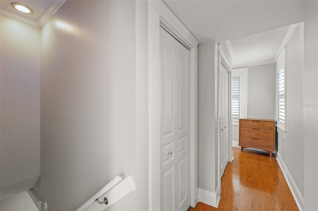 400 E Jean St, Tampa, FL 33604 - photo 22