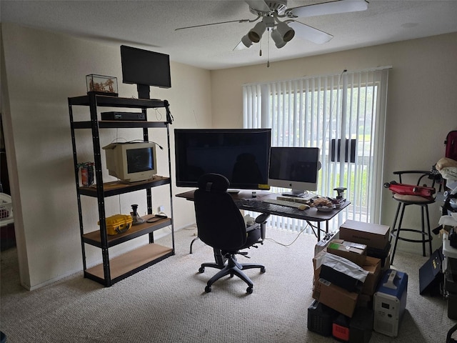 9100 Mlk St N Unit 503, Saint Petersburg, FL 33702 - office space featuring ceiling fan, carpet floors, and a textured ceiling