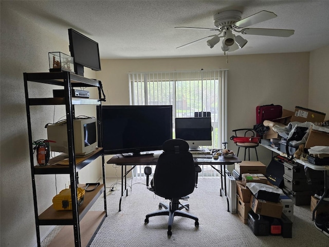9100 Mlk St N Unit 503, Saint Petersburg, FL 33702 - carpeted office featuring ceiling fan and a textured ceiling