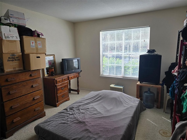 9100 Mlk St N Unit 503, Saint Petersburg, FL 33702 - bedroom featuring light colored carpet