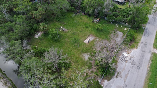6644 Oelsner St, New Port Richey, FL 34652