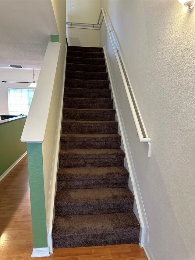 125 Grand Beach Pl Unit 125, Tampa, FL 33609 - photo 12