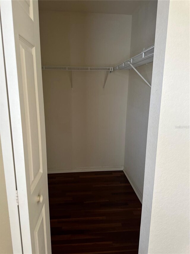 125 Grand Beach Pl Unit 125, Tampa, FL 33609 - photo 15