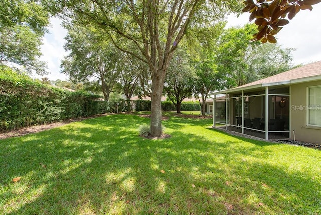 4228 Silver Star Dr, Spring Hill, FL 34609 - view of grassy yard featuring a sunroom